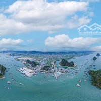 Bán Đất Nền Dự Án Tại Đường 58, Xã Đông Xá, Vân Đồn, Quảng Ninh, Chỉ Với 25 Triệu / M2