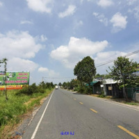 Bán Đất 2 Mặt Tiền: 9.000M² (23M X 370M, Thổ 270M², Đất Lúa) Đường Đt 847, Xã Mỹ Quý