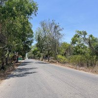 Bán 2000M Đất 2 Mặt Tiền Nhánh Trần Bình Trọng, Giá Bán 2,4Ty