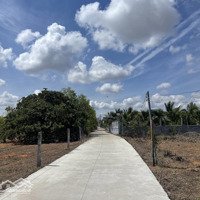 Bán 2000M Đất 2 Mặt Tiền Nhánh Trần Bình Trọng, Giá Bán 2,4Ty