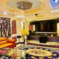 Biệt Thự Siêu Sang 259,3M² | Gỗ Đỏ Nhập - Gần Công Viên Lê Thị Riêng 62 Tỷ