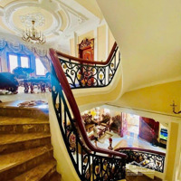Biệt Thự Siêu Sang 259,3M² | Gỗ Đỏ Nhập - Gần Công Viên Lê Thị Riêng 62 Tỷ