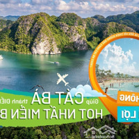 Bán Căn Hộ Nghỉ Dưỡng 32M2 Tại Xanh Island Cát Bà Giá Nhỉnh 2 Tỷ Dòng Tiền Cho Thuê Cực Cao