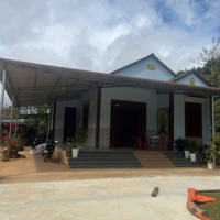 Bán Gấp Nhà Mái Thái To. 1,6 Ha Đất Tiêu, Café, Sầu Riêng Cách Ql14 Khoảng 1 Km