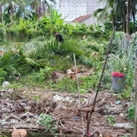 Bán Đất Diên Lạc Giá Rẻ -Diện Tích152,8M Có 60M Thổ Cư
- Đường Bê Tông 3,5M
- Nằm Khu Dân Cư Đông Đúc,