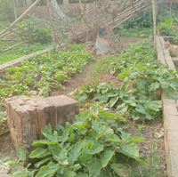 Chỉ Hơn 2 Tỷ - Diện Tích 44,7 M2 Địa Chỉ : Thụy Hương - Chương Mỹ - Hà Nội . -