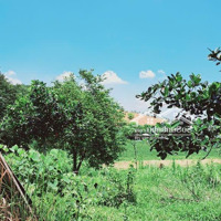 Lô Đất Đẹp Tại Tu Vũ,Thanh Thuỷ,Phú Thọ,Có 10M Mặt Tiền, View Cánh Đồng Thoáng, Cách Đường Hcm 300M