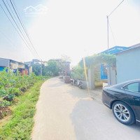 F0 - Bán Đất 100M2 Tại Xã Liên Nghĩa, Văn Giang, Hưng Yên, 5,2 Tỷ