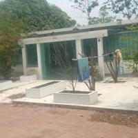 Chủ cần bán gấp mảnh đất 125m2, full thổ cư gần chợ Bình Sơn, ĐT 769,Long Thành,Đồng Nai. Giá 700tr