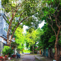 Biệt Thự Sân Vườn Hàng Xóm Khu Biệt Thự Him Lam Vĩnh Tuy, Diện Tích 200M2