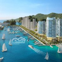Chỉ Từ 1Tỷ9 Căn Hộ Studio Chung Cư Đầu Tiên Duy Nhất Tại Đặc Khu Vân Đồn