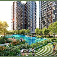 Căn 1 Phòng Ngủelysian 48M2 Ngay Tầng Tiện Ích - Trả 30% Tới Nhận Nhà - Ký Hđ Chỉ 140 Triệu