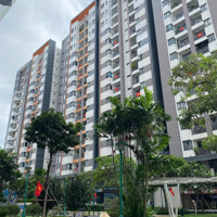 Chính Chủ Cho Thuê Căn Góc Full Nội Thất Đầu Tháng 6 Ở Giá 11 Triệu