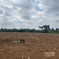 Sở Hữu Ngay Mảnh Đất Gần Đà Lạt, Giác Cực Rẻ, Đang Xây Dựng Nhà Thô, 700 Triệu