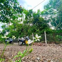 Sở Hữu Ngay Mảnh Đất Gần Đà Lạt, Giác Cực Rẻ, Đang Xây Dựng Nhà Thô, 700 Triệu