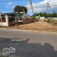 Cắt Lỗ Bán Gấp Mtđ Tô Hiến Thành, Bình Phước. Gần Bệnh Viện Đa Khoa Phúc An, 120M2/ 900 Triệu, Shr