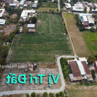Ngay Sau Trường Trần Quốc Đại 5X28M Full Thổ Cư 430 Triệu, Sổ Hồng Riêng, Đường Ô Tô Thông Gần Đt782