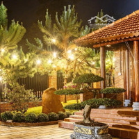 Nhà Gỗ 3 Gian, Sân Vườn _Hải Thượng Lãng Ông, Bảo Lộc. 7,9 Tỷ, 650M2(168M2 Odt)Nội Thất Cảnh Quan