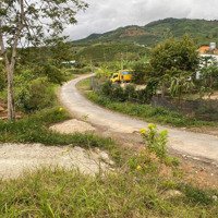 6000M2 Mặt Tiền Bao Siri, View 360, Khu Dân Cư Đông, Qh Thổ Cư