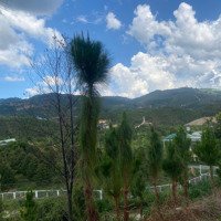6000M2 Mặt Tiền Bao Siri, View 360, Khu Dân Cư Đông, Qh Thổ Cư