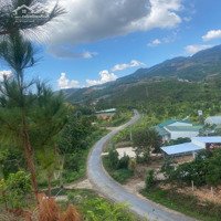 6000M2 Mặt Tiền Bao Siri, View 360, Khu Dân Cư Đông, Qh Thổ Cư