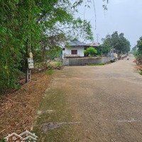 Chuyển Nhượng Diện Tích: 7860M Có 400M Đất Ở. Còn Lại Là Đất Trồng Cây Lâu Năm