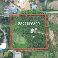 Chuyển Nhượng Diện Tích: 7860M Có 400M Đất Ở. Còn Lại Là Đất Trồng Cây Lâu Năm
