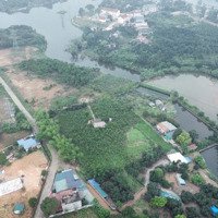 Chuyển Nhượng Diện Tích: 7860M Có 400M Đất Ở. Còn Lại Là Đất Trồng Cây Lâu Năm