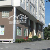 Chính Chủ Bán Chung Cư Mỹ An, Hiệp Bình Chánh, Thủ Đức - 73M2, 2 Phòng Ngủ, 2 Wc