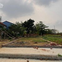 110M Fun Thổ Cư Tân Xã Chính Chủ Cần Bán .Giá Đàm Bảo Rẻ Hơn Thị Trường