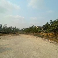110M Fun Thổ Cư Tân Xã Chính Chủ Cần Bán .Giá Đàm Bảo Rẻ Hơn Thị Trường
