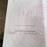 Bán Đất Đấu Giá Tây Bắc 115.5M2 Tại Lễ Pháp, Tiên Dương, Đông Anh, Hà Nội, Giá Thỏa Thuận