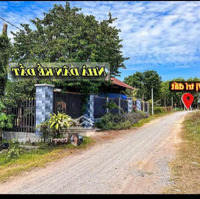 Lộc Ninh,Dương Minh Châu,Tây Ninh 5X35M Full Thổ 279 Triệu.