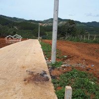 Đất Sổ Hồng Riêng 200M2 Xây Dựng Đà Lạt Giá Chỉ 2,5 Tỷ Đường Ô Tô Cần Bán Gấp