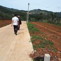 Đất Sổ Hồng Riêng 200M2 Xây Dựng Đà Lạt Giá Chỉ 2,5 Tỷ Đường Ô Tô Cần Bán Gấp