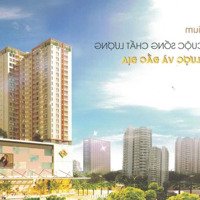 Bán Cc Central Premium, Phố Tạ Quang Bửu, 3,8 Tỷ, 64M2