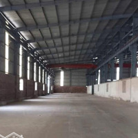 Bán Nhà Xưởng Siêu Đẹp Vị Trí Đắc Địa Tại Phú Mỹ, Bà Rịa - Vũng Tàu