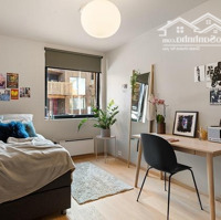 Siêu Vị Trí! 5 Tầng Thang Máy,Hẽm Xe Hơitrần Khánh Dư, Tđ, Q1 |4X11M| Hdt 50 Triệu/Th Vuông Vức Chỉ 15 Tỷ Tl