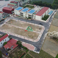 Siêu Phẩm 75M2 Đất Đấu Giá X2 Xóm Ngõ Nguyên Khê Đông Anh.
