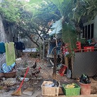 Giá Quá Rẻ! Đất Ở Trung Tâm Phường Vĩnh Hải, 49,2M2 ( Rộng 4,5M ) Cách Biển 5 Phút Chỉ 1,3 Tỷ