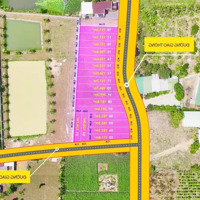 Bán Gấp Đất Nền Tại Xuân Tây, Cẩm Mỹ, Đồng Nai, 579 Triệu, 2000 M2