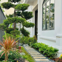 Biệt Thự Solasta Mansion Nam Cường, Đủ Các Căn Chủ Đầu Tư Giá Ưu Đãi Và Chuyển Nhượng Giá Tốt Nhất