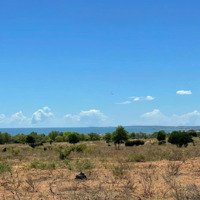 Chính Chủ Cần Bán 3770M2 Đất View Biển, Tờ Bản Đồ 35 Chỉ 290K/M2