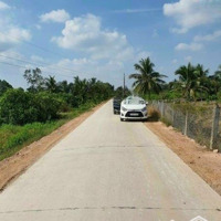 Cần Bán Lô Đất Vườn 1000M2 View Kênh Bình Đức ,Bến Lức Long An, Đất Được Chuyển Thổ Cư ,Đường Ô Tô.