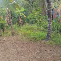 Bán 2.461M2 Đất Thành An, Mỏ Cày Bắc, Bến Tre