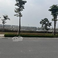 Bán Thửa Đất Dịch Vụ Thăng Long 9 - Kđt Kim Chung Hinode Royal Park 88M2 Giá Bán 11.88 Tỷ