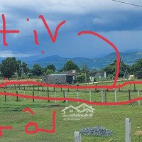Bán Đất 3 Mặt Tiền Sát Dự Án Ven Vịnh Cam Ranh Của Vingroup