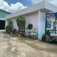Chính Chủ Bán Xưởngmặt Tiềntân Hiệp 4 Tân Uyên Bình Dương