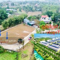 Cứu Cọc Gấp Chỉ 1,6X Tỷ Sở Hữu Lô Đất Đối Diện Kcn 213Ha Sổ Sẵn, Ô Tô Vào Tận Nơi