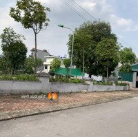 Đất Đấu Giá Kđt 31Ha Diện Tích Vừa Đẹp 118M2 Mặt Tiền 6M Đường 13M Giá Đầu Tư